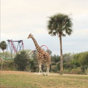 Meet your Posher, Mary